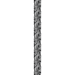 BANDE ZEBRA BLACK & WHITE
